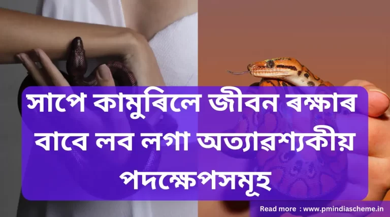 সাপে কামুৰিলে জীবন ৰক্ষাৰ বাবে লব লগা অত্যাৱশ্যকীয় পদক্ষেপসমূহ,সাপে খুটিলে কেনেদৰে চিকিৎসা কৰিব?