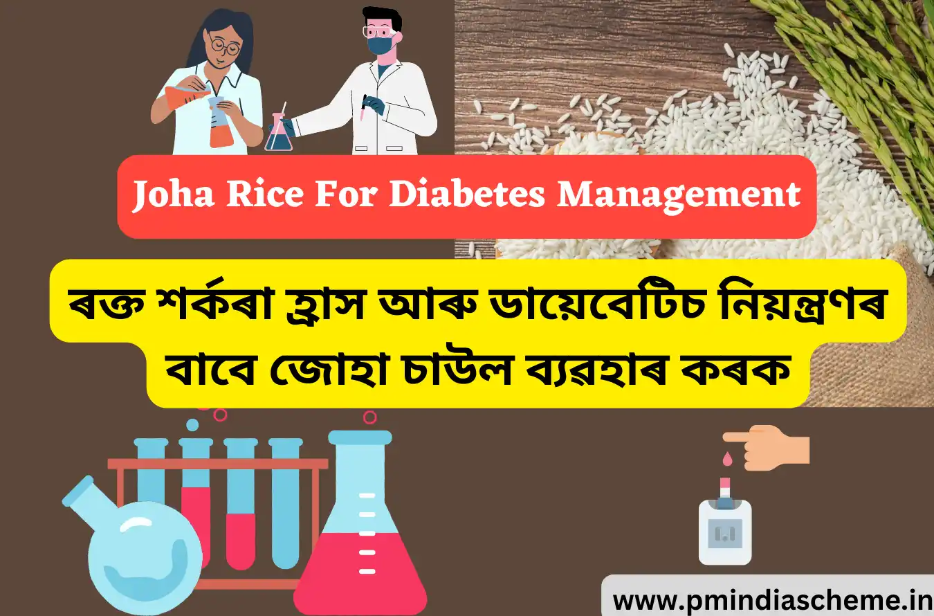 Joha Rice For Diabetes Management