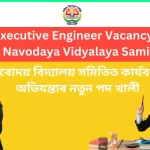 Executive Engineer Vacancy In NVS
