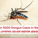 Over 5000 Dengue Cases In Nepal