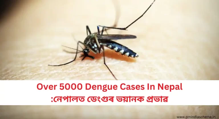 Over 5000 Dengue Cases In Nepal