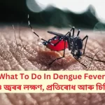 What To Do In Dengue Fever, ডেংগু জ্বৰ