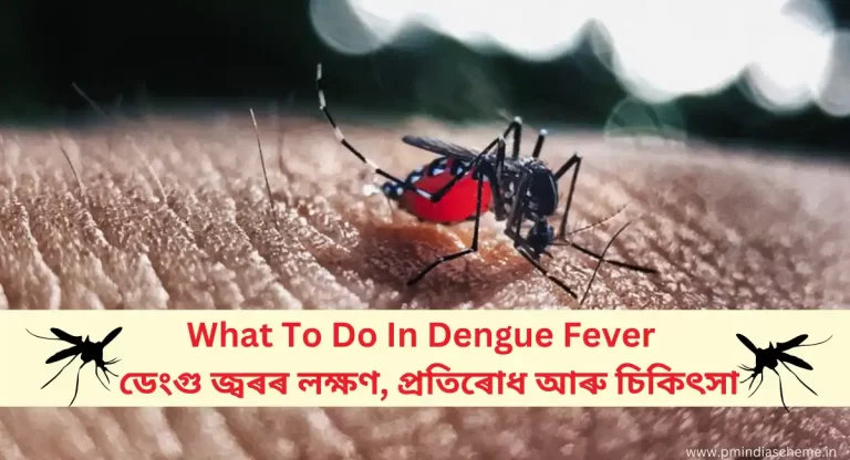 What To Do In Dengue Fever, ডেংগু জ্বৰ