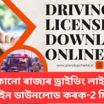 Driving License Download Online,যিকোনো ৰাজ্যৰ ড্ৰাইভিং লাইচেঞ্চ অনলাইন ডাউনলোড কৰক, জানক 2 মিনিটত ড্ৰাইভিং লাইচেঞ্চ ডাউনলোড কেনেকৈ ক​ৰিব